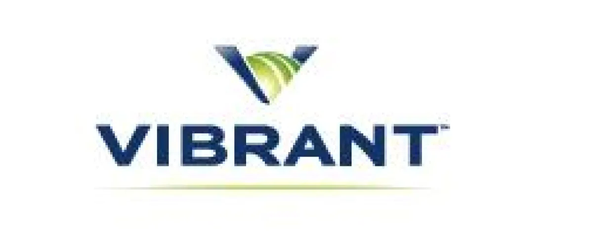 InText-Anbieter Vibrant Media GmbH