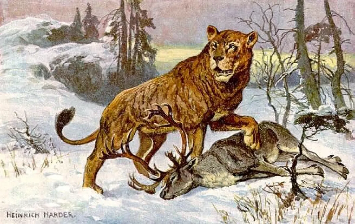 Höhlenlöwe aus dem Eiszeitalter