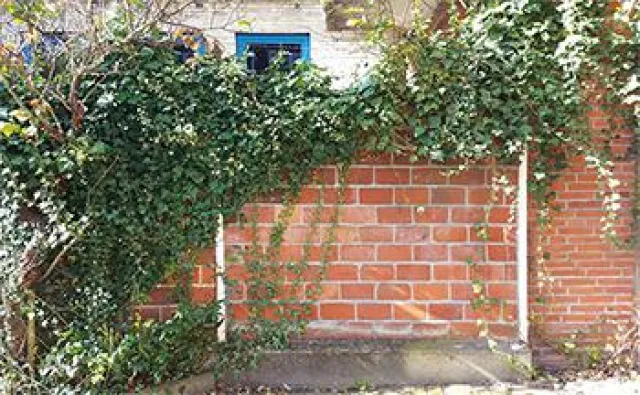 Bild: Reparatur von Grenzmauern – vorbeugen statt streiten