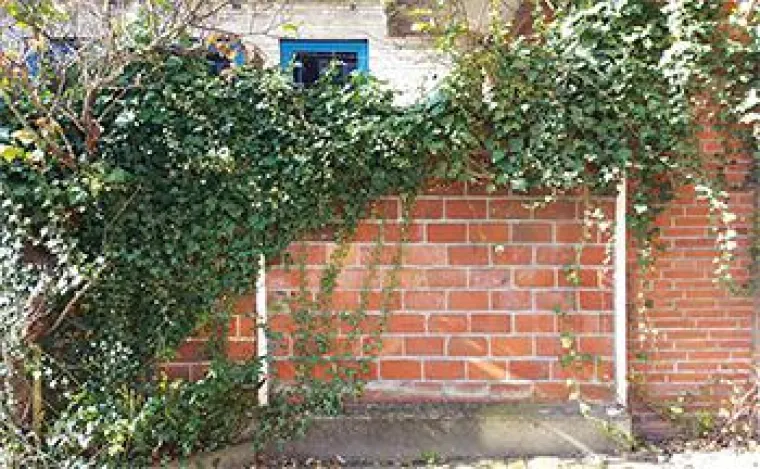 Bild: Reparatur von Grenzmauern – vorbeugen statt streiten