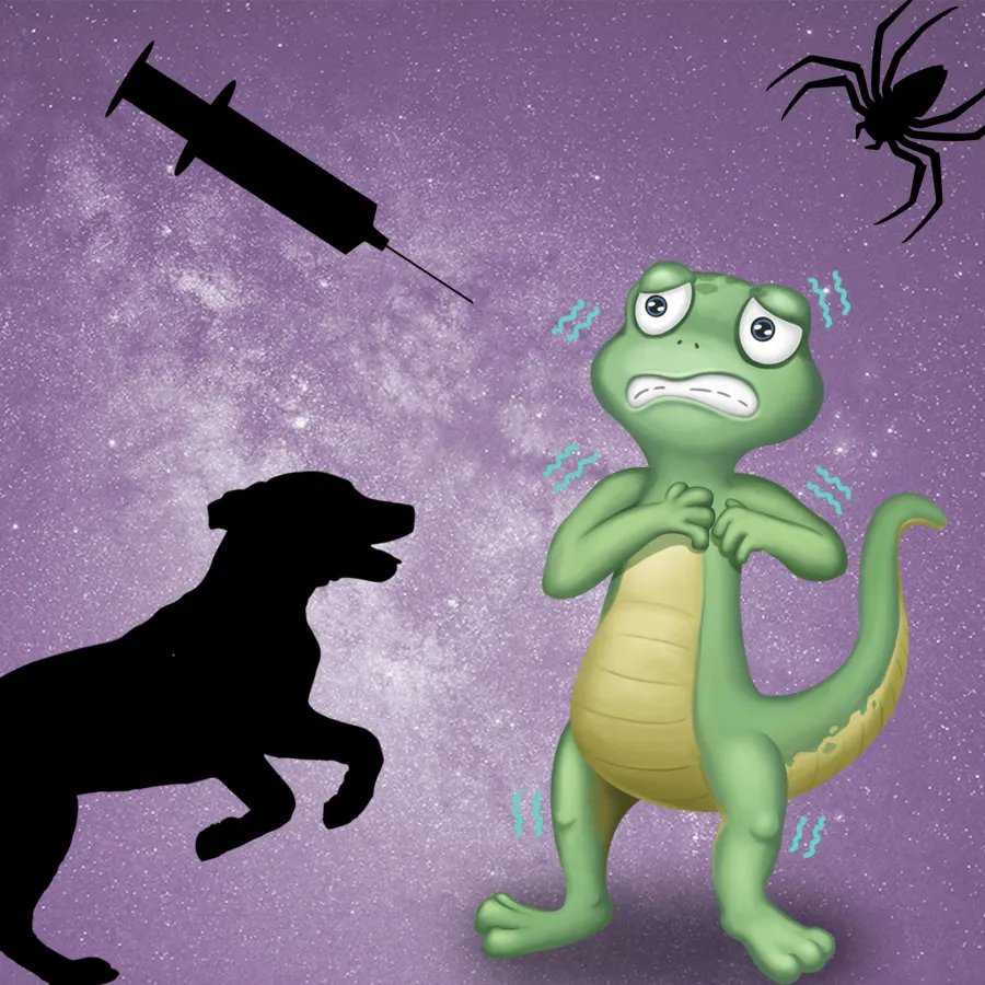 Gegen Angst kann man so vernünftig anreden wie man will, es nützt nichts. Die Lösung ist einfach. (© mindTV AG)