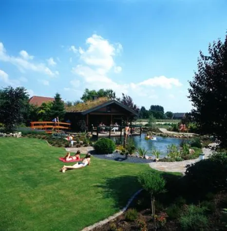 Algen & Co belasten im Sommer die Gartenteiche Bild: Algen & Co belasten im Sommer die Gartenteiche