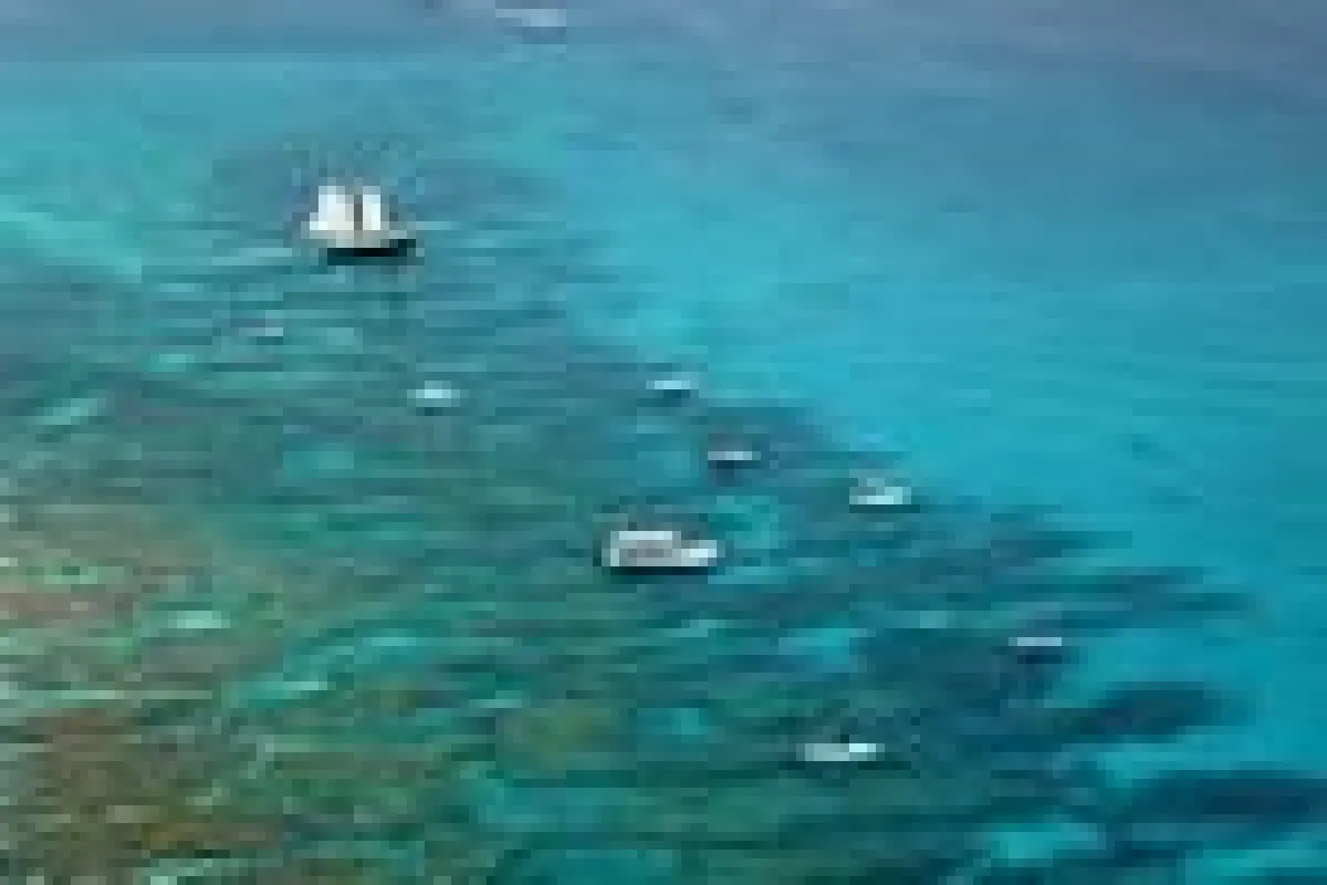 Looe Reef (c) Andy Newman Florida Keys News Bureau