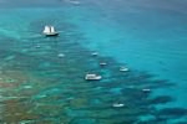 Bild: 10 unvergessliche Wasserabenteuer auf den Florida Keys & Key West