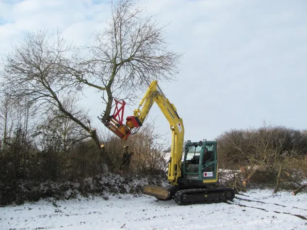 Bild: Kraftvoller Seitenschneider