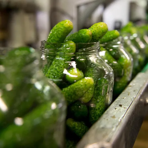 Schweizer Cornichons – mehr als nur Beigemüse Bild: Schweizer Cornichons – mehr als nur Beigemüse
