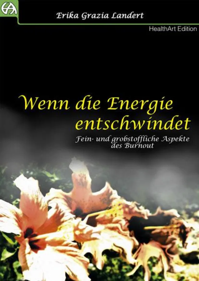 Wenn die Energie entschwindet  -  fein- und grobstoffliche Aspekte des Burnout