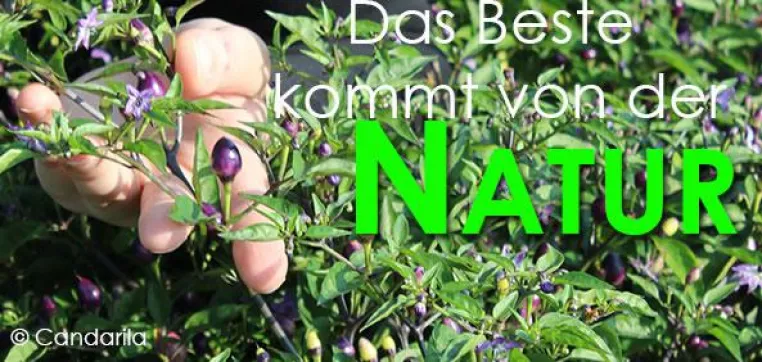 Das Beste kommt von der Natur Bild: Das Beste kommt von der Natur