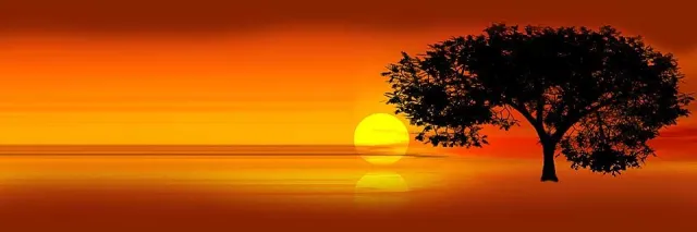 Bild: Größte Weihnachtsgeschenke ihres Lebens an gut 80 Familien verteilt