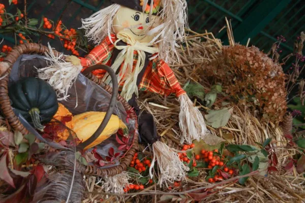 Bild: Herbstmarkt im Wildpark Müden am 13.+14. Oktober 2018