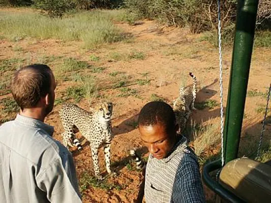 OKAMBARA Elephant Lodge - Kalahari Wildlife & südafrikanische Landhausatmosphäre Bild: OKAMBARA Elephant Lodge - Kalahari Wildlife & südafrikanische Landhausatmosphäre