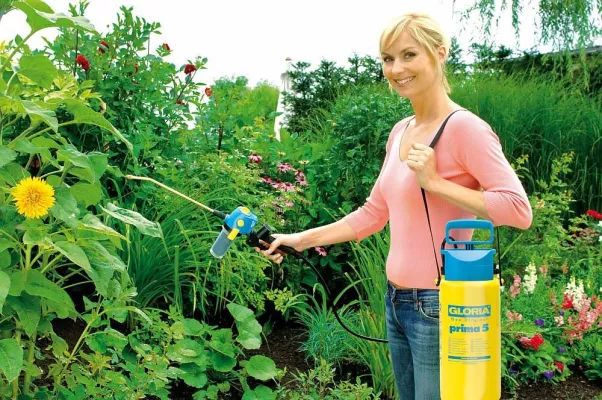 Bild: Der Trick mit dem Klick