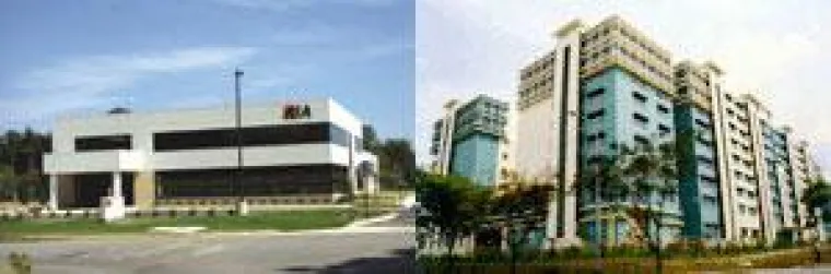 Bild: BTR NETCOM verstärkt Expansion auf internationalen Märkten