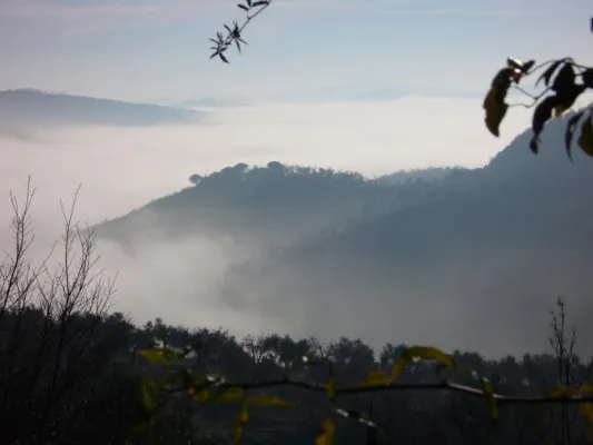 Bild: Der Naturpark Trasimenischer See lohnendes Reiseziel für Naturfreunde