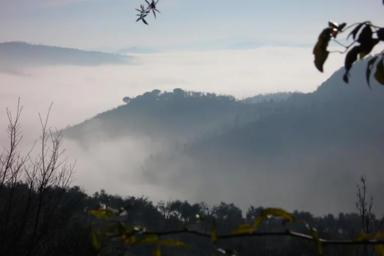 Bild: Der Naturpark Trasimenischer See lohnendes Reiseziel für Naturfreunde
