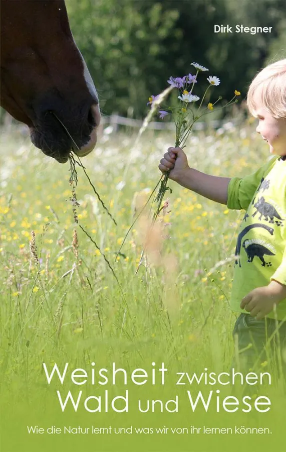 Buchvorderseite; Grafik / Foto Dirk Stegner