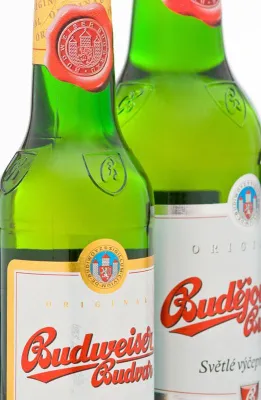 Bild: Steigender Absatz für Budweiser Budvar
