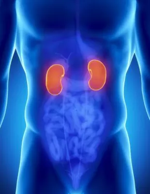 Bild: Lebendspende: Inkompatibilität der Blutgruppen bei Nierentransplantation mittelfristig ohne Nachteil