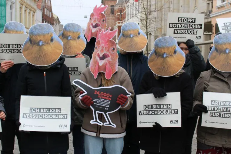Bild: 35.000 Unterschriften gegen Rotkehlchen-Versuche - Ärzte gegen Tierversuche und PETA protestieren in Oldenburg