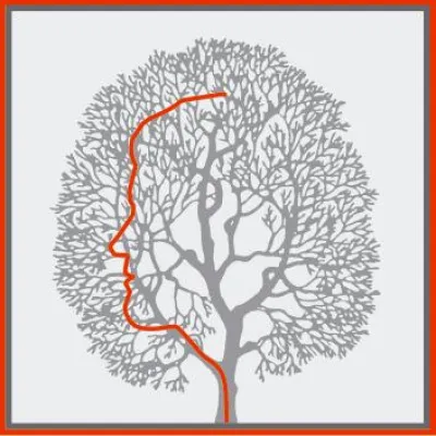 Bild: sepago veröffentlicht Benutzerprofil-Management-Lösung für Citrix, Desktop und VDI Szenarien