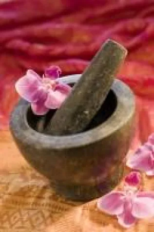 Bild: IST-Studieninstitut erweitert Weiterbildungsspektrum durch Fachbereich „Persönlichkeits- und Selbstbildung“