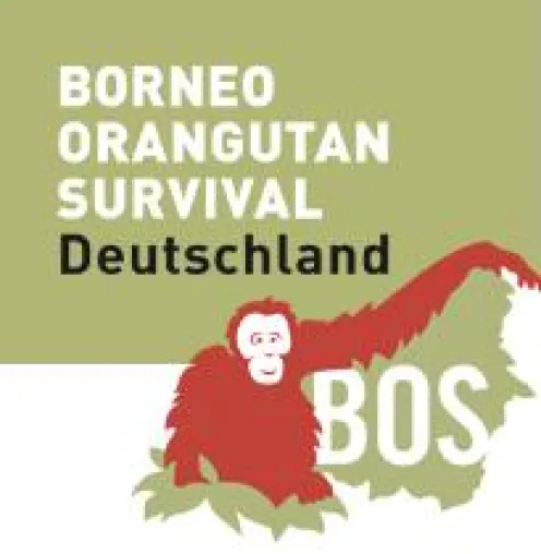 Weiterhin Massaker an Orang-Utans auf Ölpalmenplantagen? Bild: Weiterhin Massaker an Orang-Utans auf Ölpalmenplantagen?