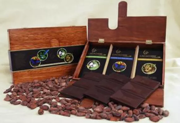 Bild: Kakaobaumpatenschaft in Ecuador