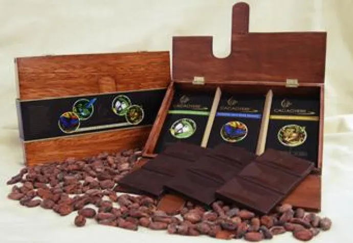 Bild: Kakaobaumpatenschaft in Ecuador