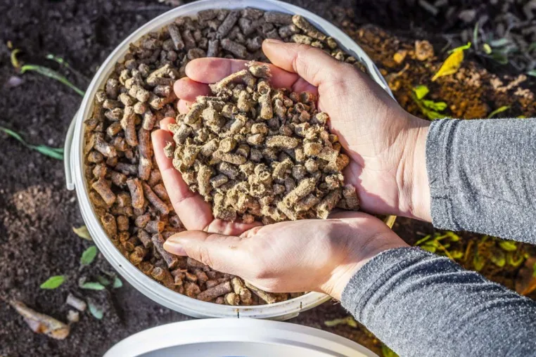 Bild: 7 Fragen rund um Schafwollpellets