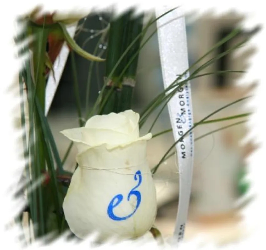 Echte Rose mit dem Logo eines Softwarehauses
