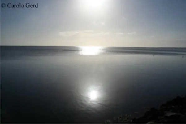 Bild: Carola Gerd künftig exklusiv über die Galerie Kunsthaus Sylt