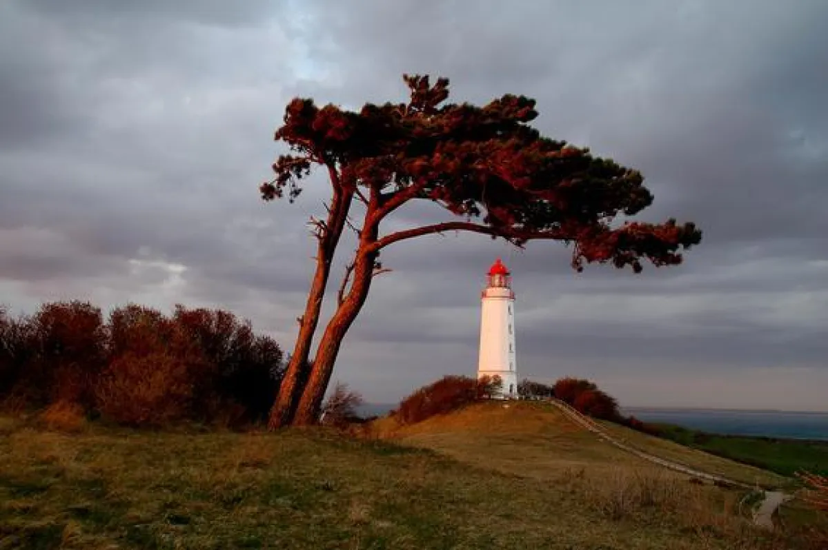 Im vergangenen Jahr gewann Volker Hahlbeck mit seiner Aufnahme des Leuchtturms Dornbusch auf Hiddensee den Wettbewerb.