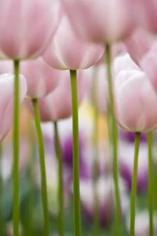 Bild: GDT-Seminare im Haus Sonnenwinkel