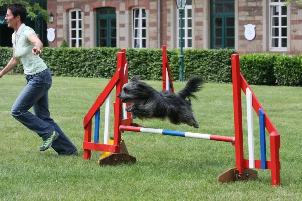 Bild: Harmonische Jubiläumsausstellung des Club Berger des Pyrénées auf dem Linslerhof