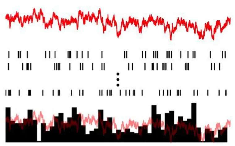 Applications and limitations of linear response functions in models of neural circuits. Bild: Applications and limitations of linear response functions in models of neural circuits.