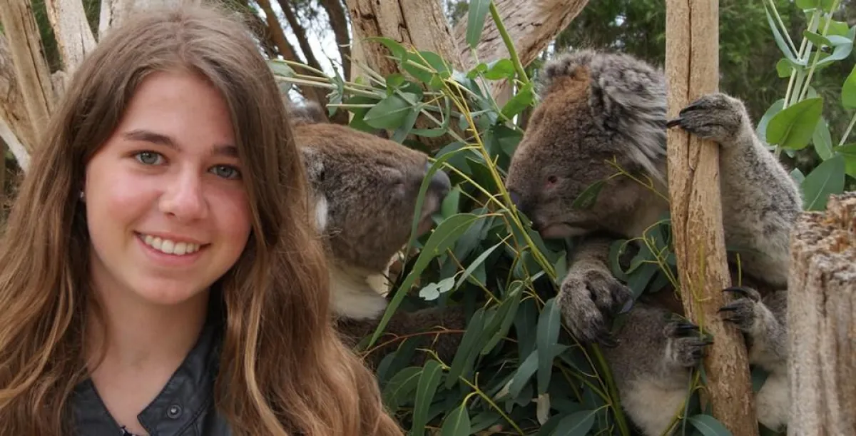 Schüleraustausch: Jugendliche in Australien mit Koala (Foto: Dt. Stiftung Völkerverständigung)