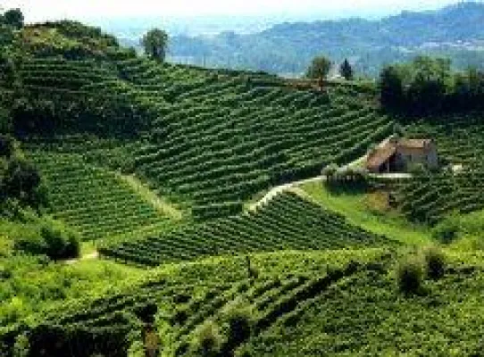 Den edlen Tropfen auf der Spur: reise.com stellt sehenswerte europäische Weinregionen vor Bild: Den edlen Tropfen auf der Spur: reise.com stellt sehenswerte europäische Weinregionen vor