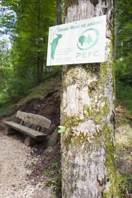 Bild: Rottenburg am Neckar ist PEFC-Waldhauptstadt 2012