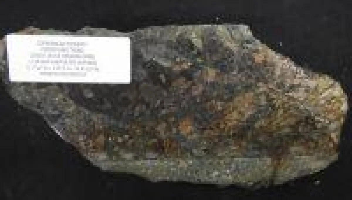 Erz vom Copperhead-Projekt; Foto: Goliath Resources