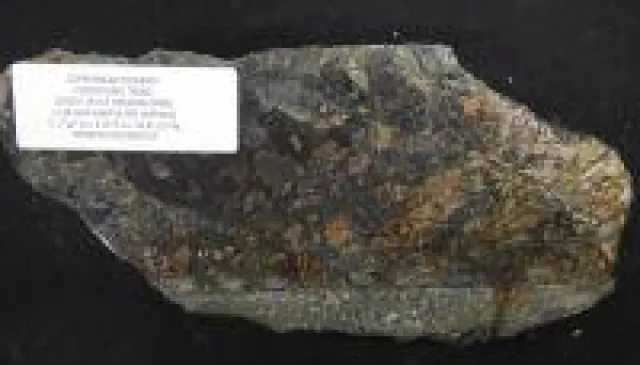 Bild: Goliath Resources: Das nächste Bohrloch könnte ein Company-Maker sein