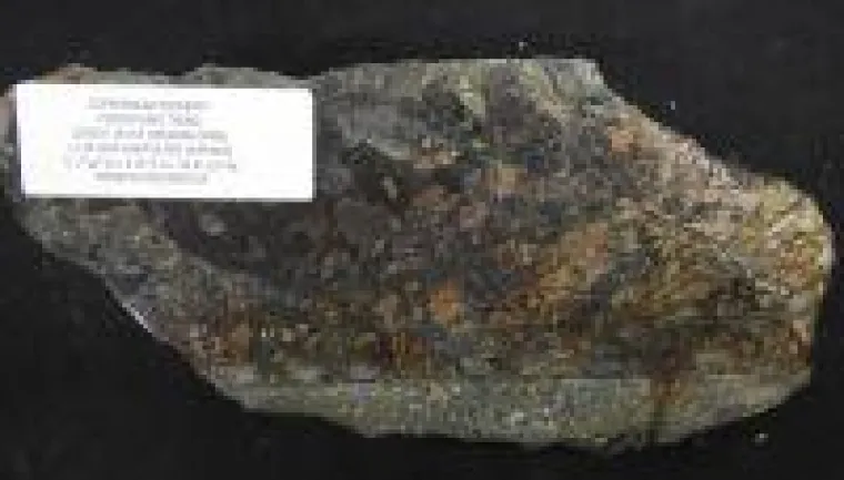 Bild: Goliath Resources: Das nächste Bohrloch könnte ein Company-Maker sein