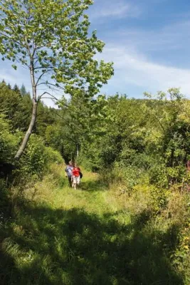 Mit Schnürschuh und Wanderstock zum Diplom - Wanderwoche ohne Gepäck im Uslarer Land und Hochsolling Bild: Mit Schnürschuh und Wanderstock zum Diplom - Wanderwoche ohne Gepäck im Uslarer Land und Hochsolling