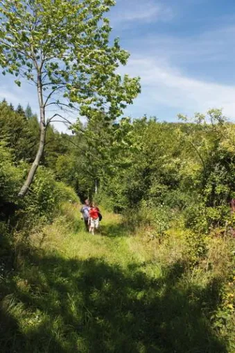 Bild: Mit Schnürschuh und Wanderstock zum Diplom - Wanderwoche ohne Gepäck im Uslarer Land und Hochsolling