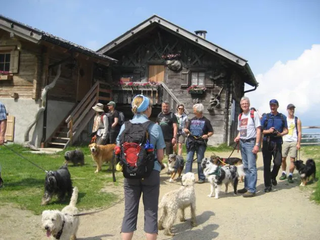 Wandern ist des Hundes Lust Bild: Wandern ist des Hundes Lust