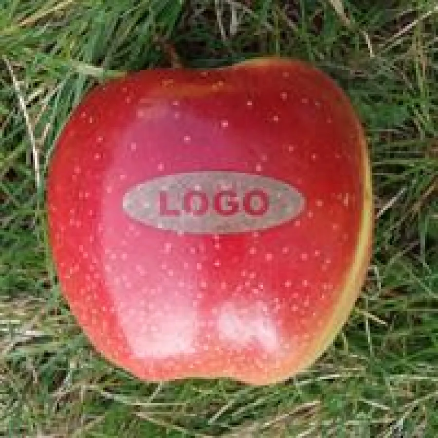 Neben dem Logo-Apfel sind weitere Obst- und Gemüsesorten erhältlich.