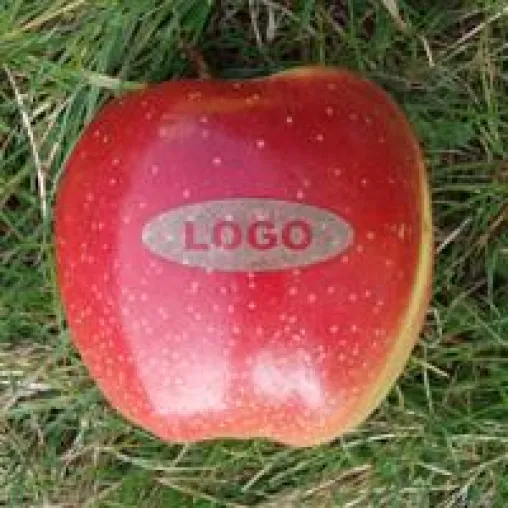 Bild: Logo-Obst - vitaminreiche und ungewöhnliche Werbebotschaften