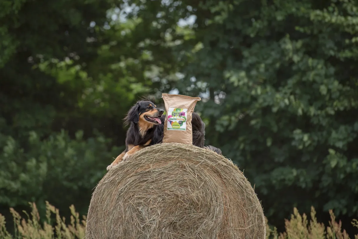 Rundum gut versorgt mit insektenbasiertem Hundefutter von Tenetrio (© Janine Techow)