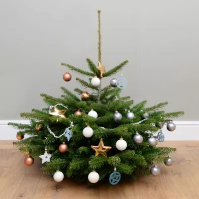 Hannoveraner eröffnen Onlineshop www.tantetanne.de Bild: Hannoveraner eröffnen Onlineshop www.tantetanne.de