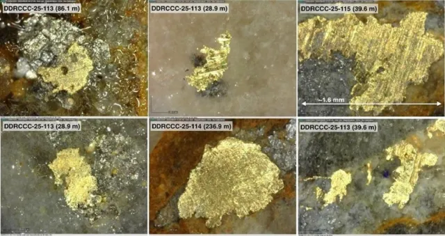 Bild: Sitka Gold: Auch Contact-Zone mit Potenzial auf Millionen Unzen Gold