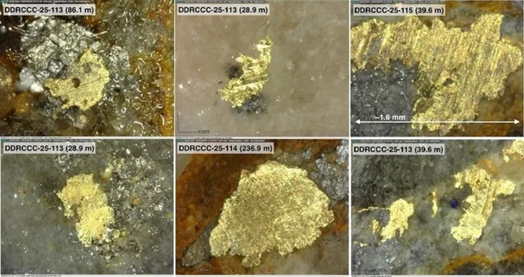 Sitka Gold: Auch Contact-Zone mit Potenzial auf Millionen Unzen Gold Bild: Sitka Gold: Auch Contact-Zone mit Potenzial auf Millionen Unzen Gold